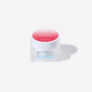 OmbréPat Gel Camélia
